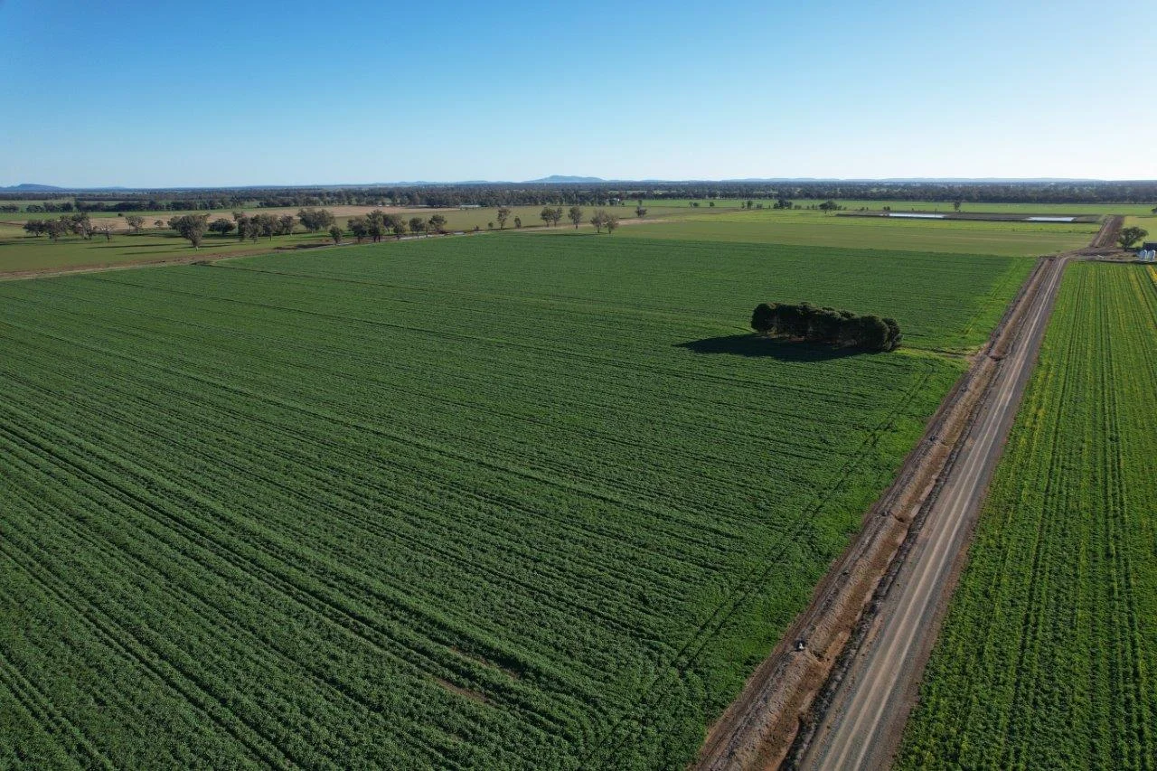 Additional image 9 of 8065 Lachlan Valley Way, Forbes NSW 2871