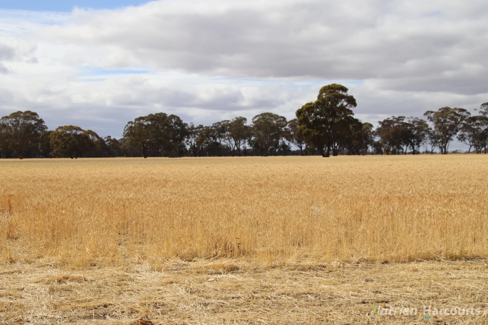 Additional image 12 of 190 Lake Road, Glenorchy VIC 3385