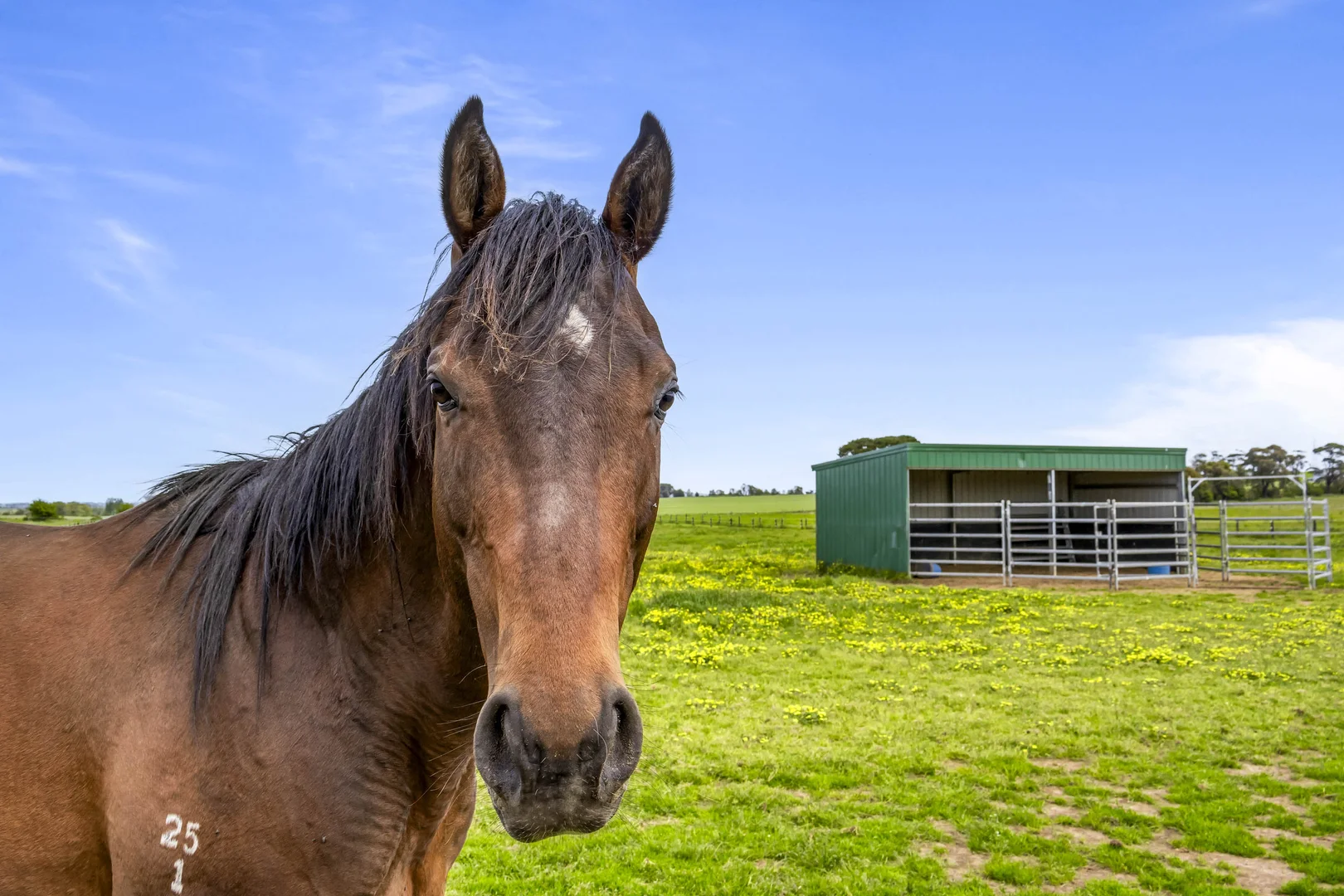 Additional image 18 of Lot 4 Ballarat-Maryborough Road, Miners Rest VIC 3352