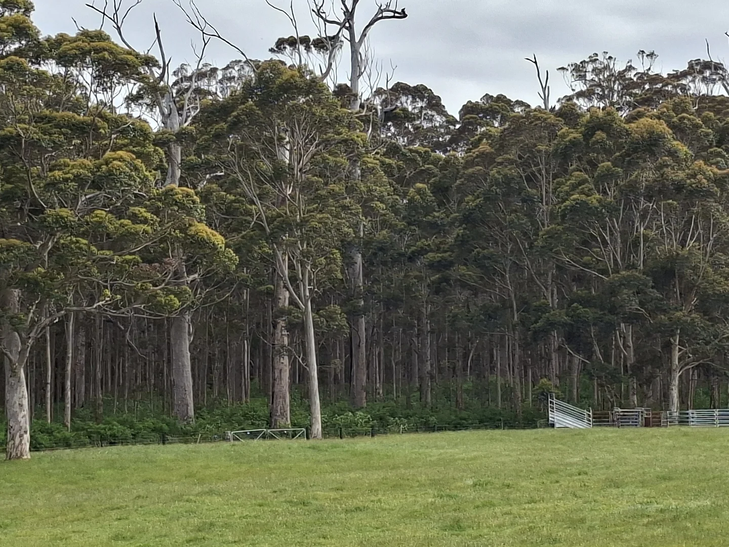 Additional image 39 of 38491 South Western Highway, Broke WA 6398