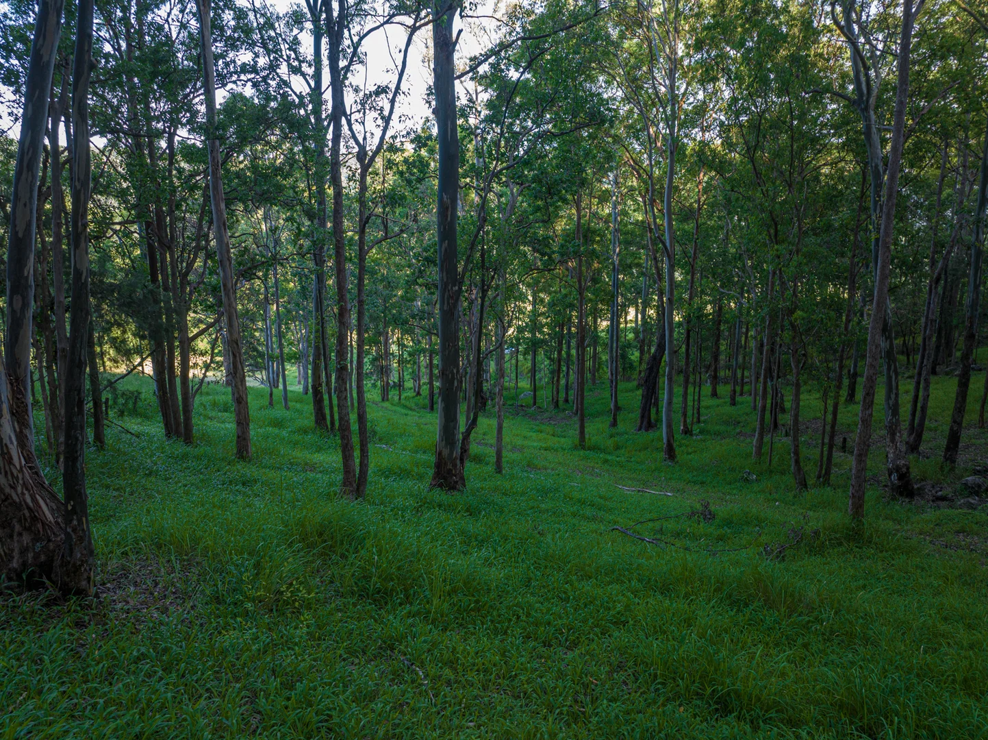 Additional image 32 of 2298 Nimbin Road, Nimbin NSW 2480