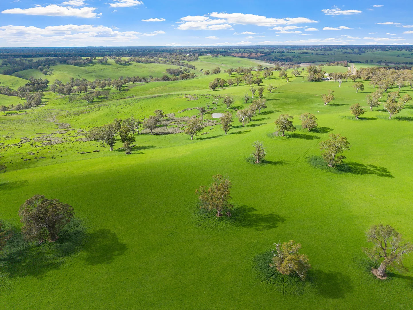 Additional image 12 of 3786 Casterton Edenhope Road, Chetwynd VIC 3312