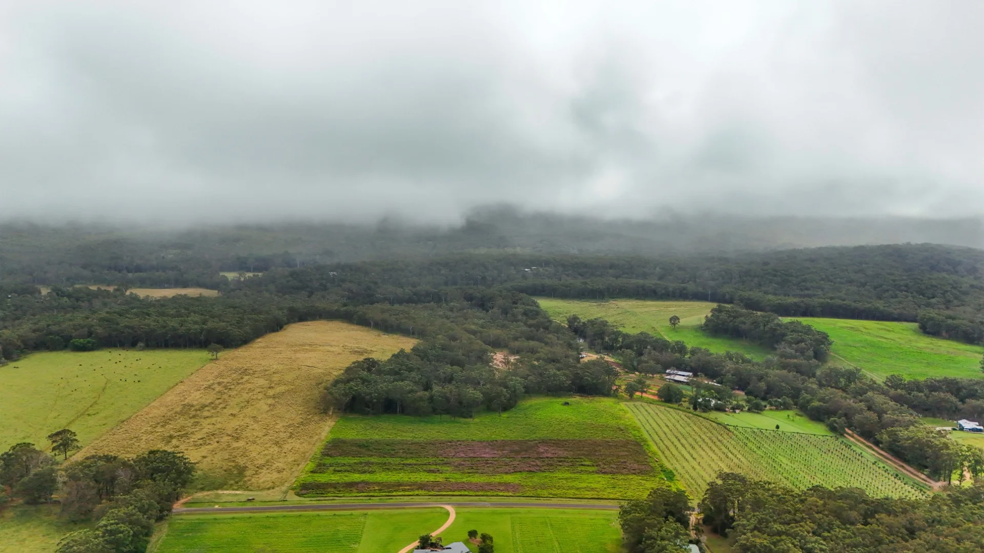 Additional image 42 of Lot 83 Chester Road, Wondecla QLD 4887