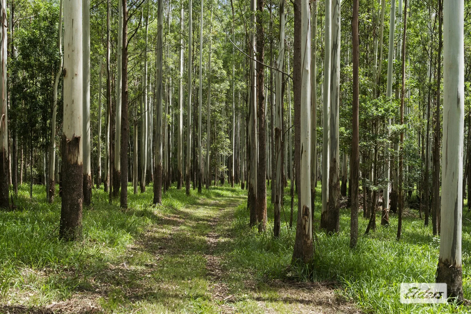 Additional image 5 of 354 Kunghur Creek Road, Kunghur Creek NSW 2484