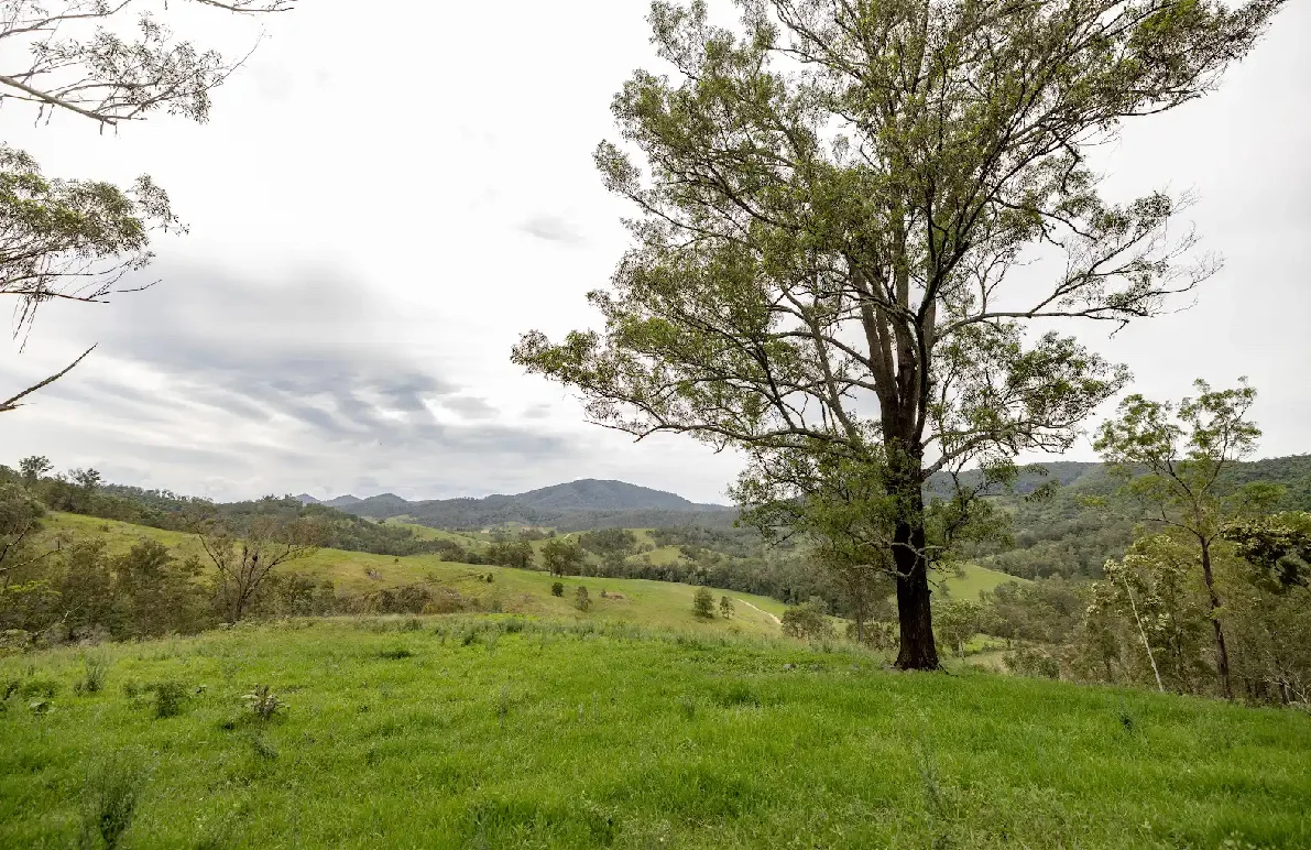 Additional image 20 of 141 Khatambuhl Creek Road, Mount George NSW 2424