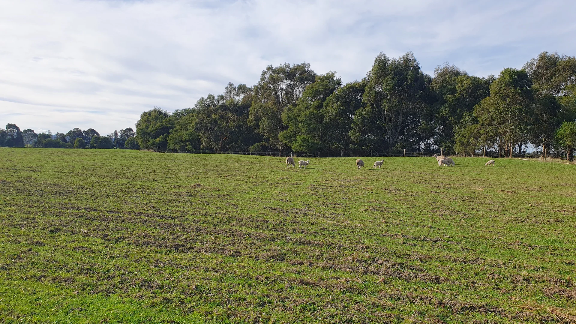 Additional image 5 of 2 Grammar Drive, Traralgon VIC 3844