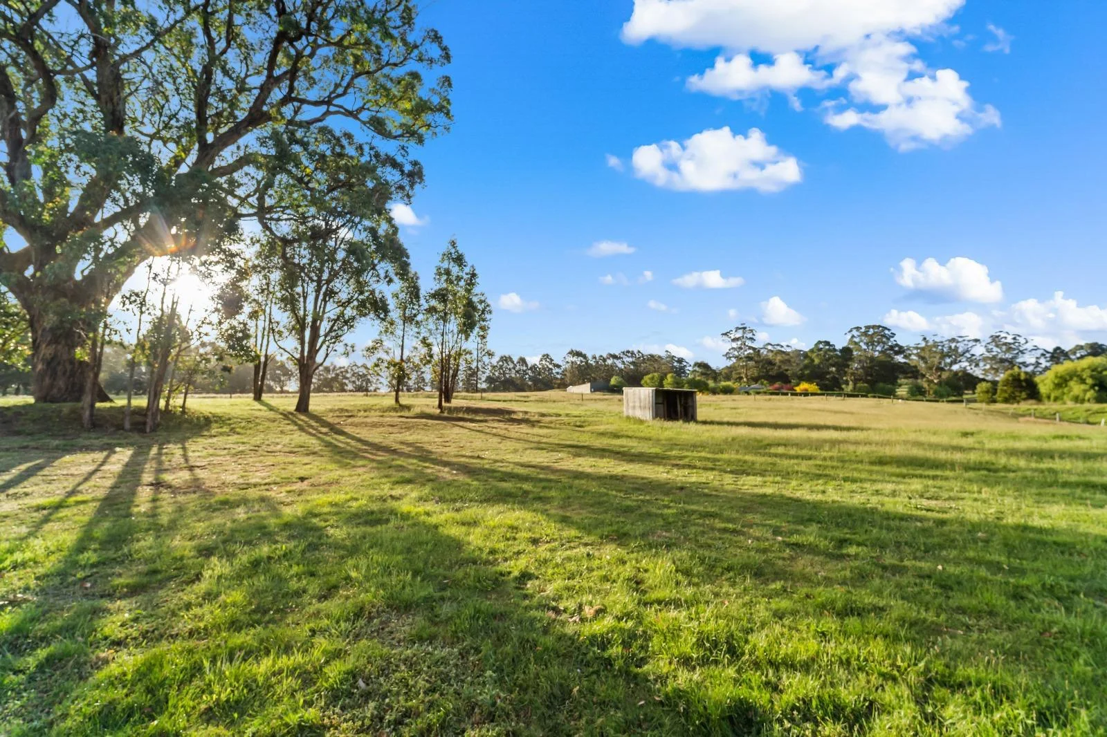 Additional image 38 of 17 Molesworth Court, Gordon VIC 3345