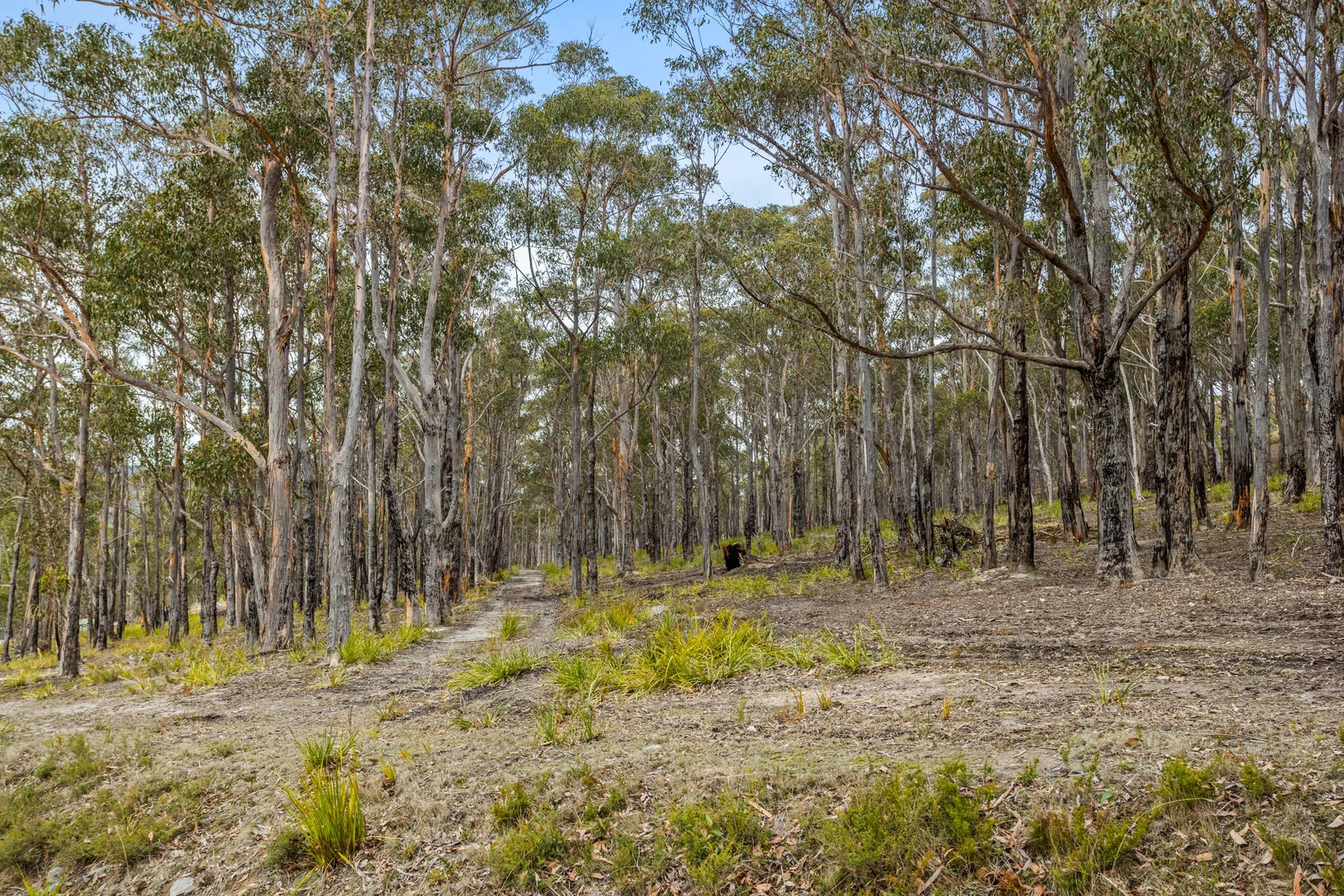 Additional image 5 of 90 Hackford Drive, Kingston TAS 7050