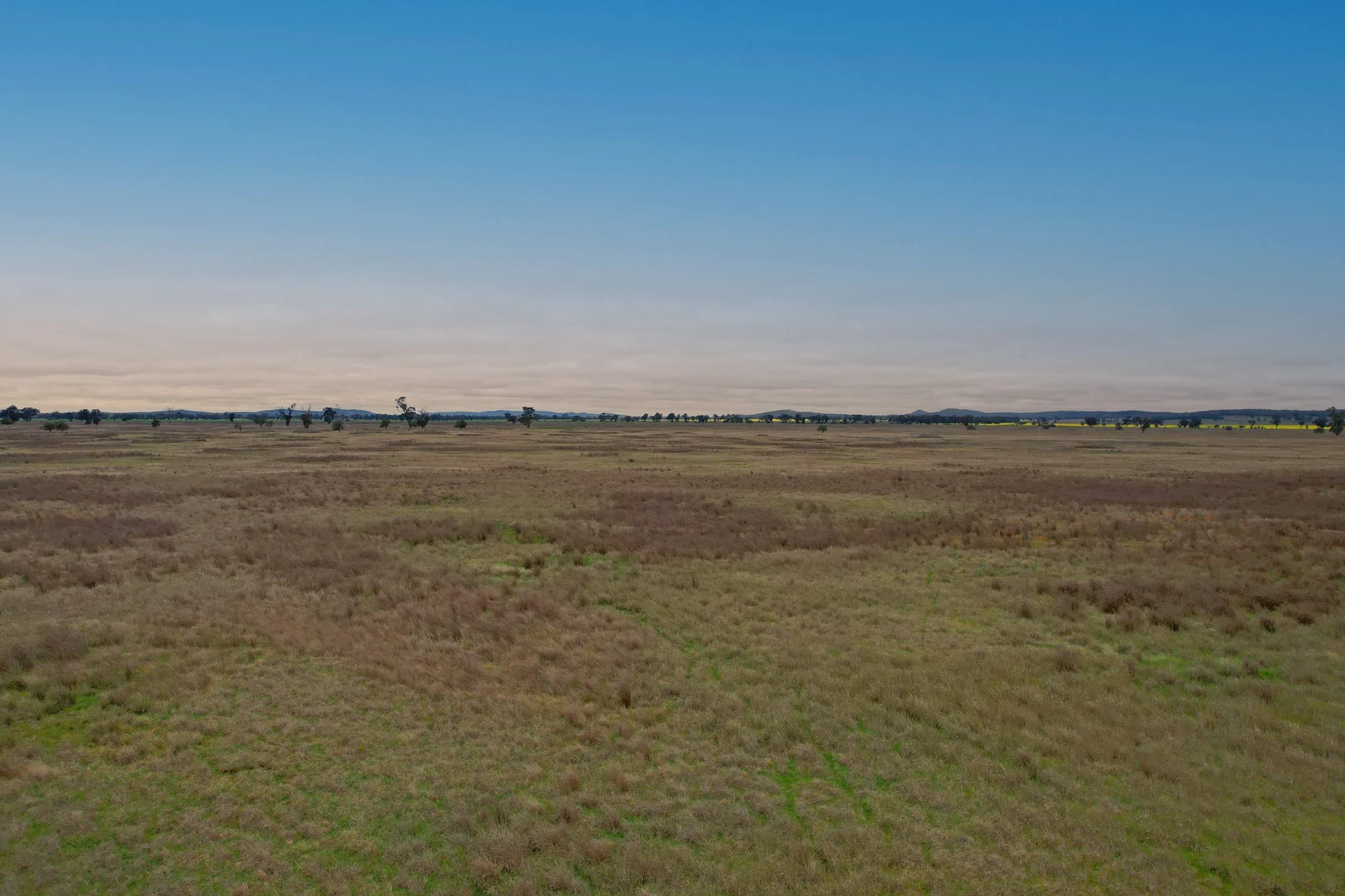 Additional image 11 of 'Weona' 307 Taylors Lane, Barmedman NSW 2668