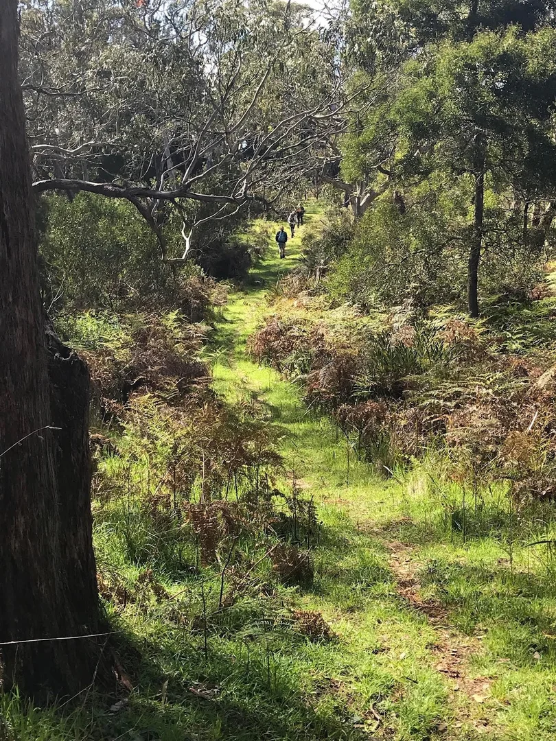 Additional image 34 of 33 Percy Street, Portland VIC 3305