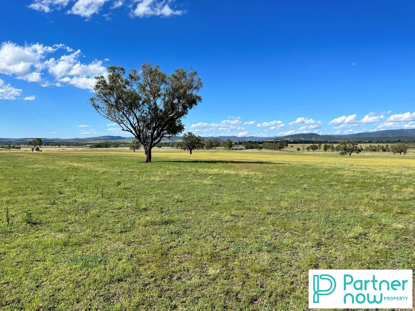 Additional image 2 of 205 Gidley-Appleby Road, Tamworth NSW 2340