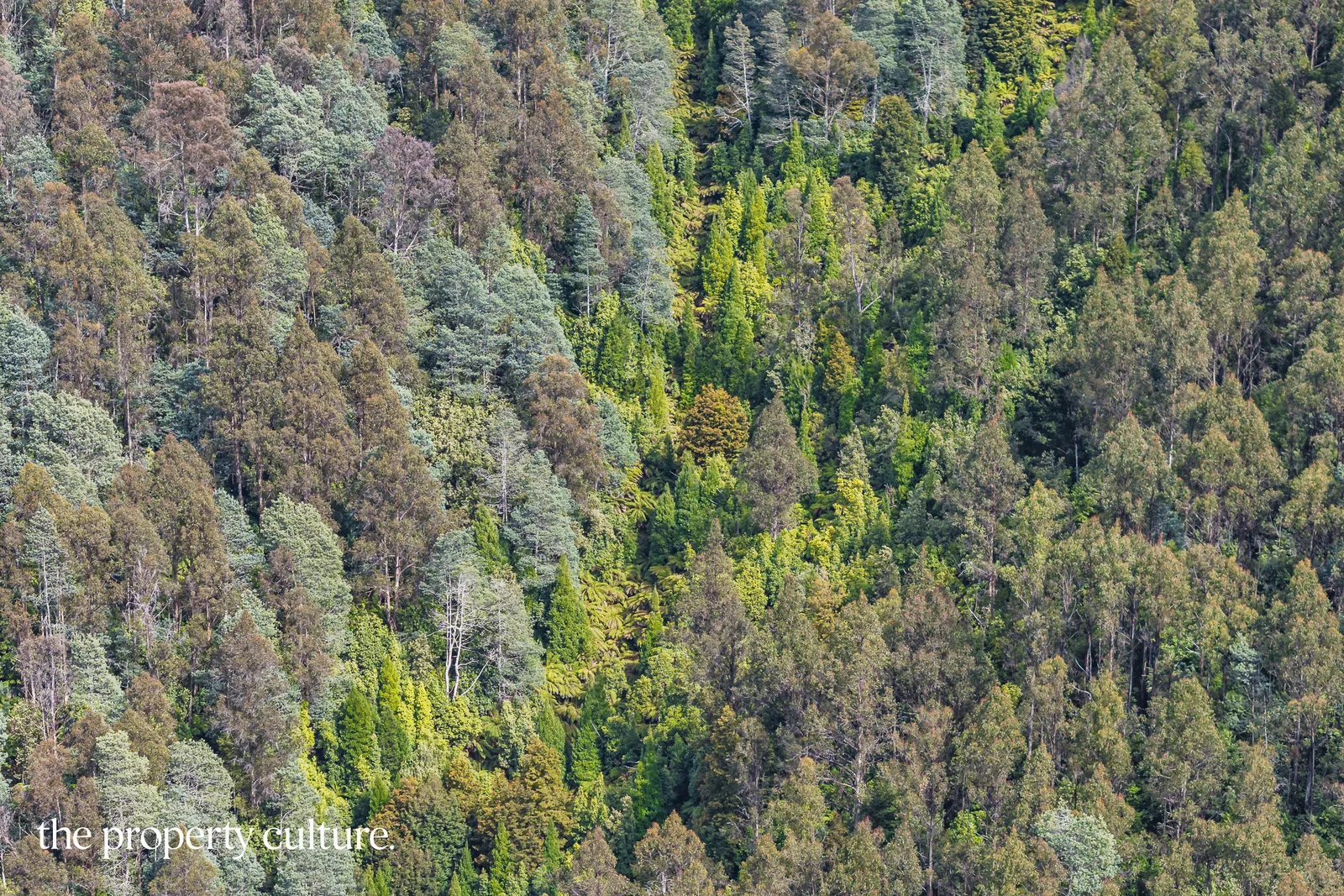 Additional image 6 of 1, 2 & 3 Bakers Creek Rd, Lucaston TAS 7109