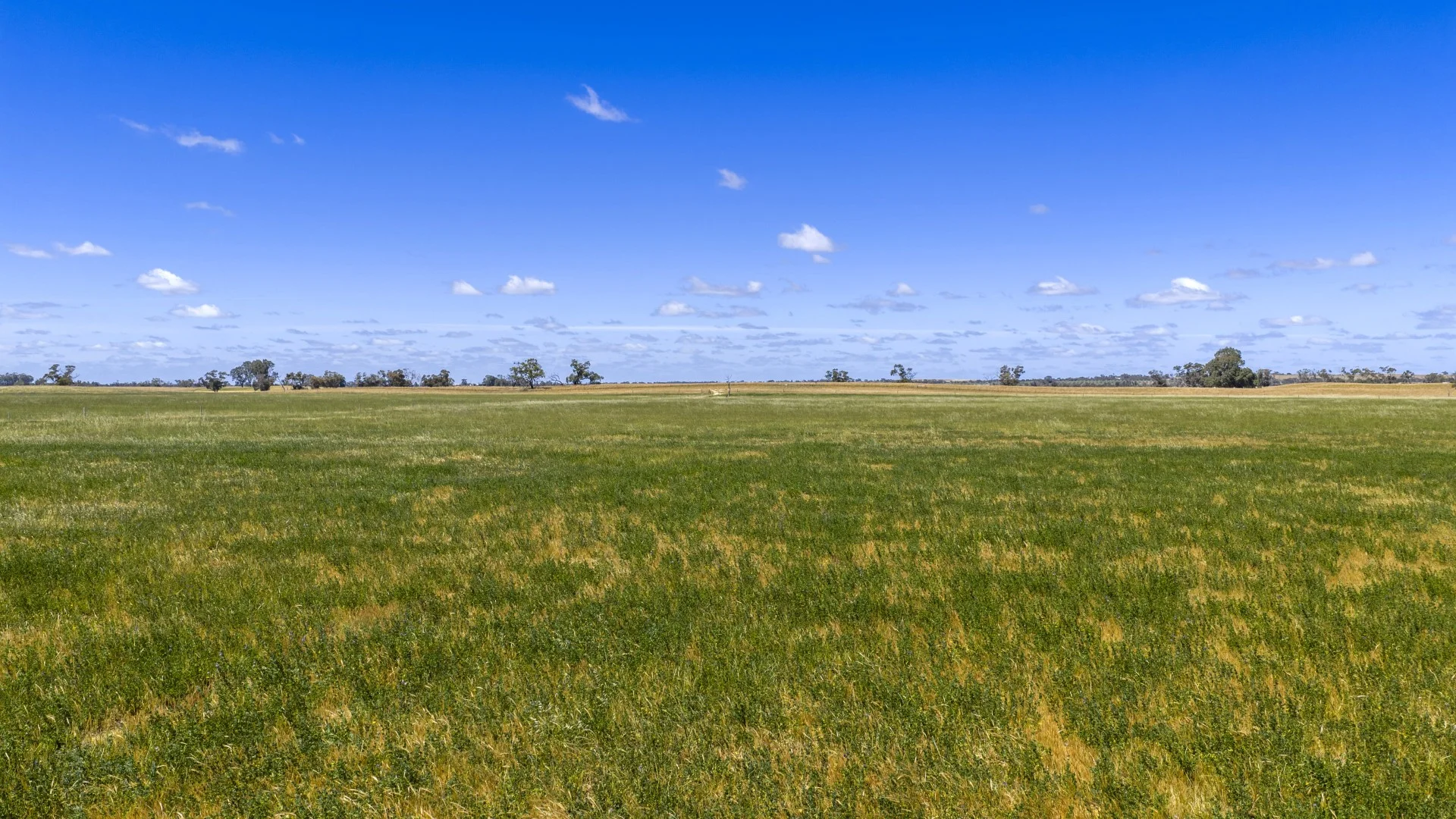 Additional image 10 of 1695 Emu Flat Road, Sherwood SA 5267