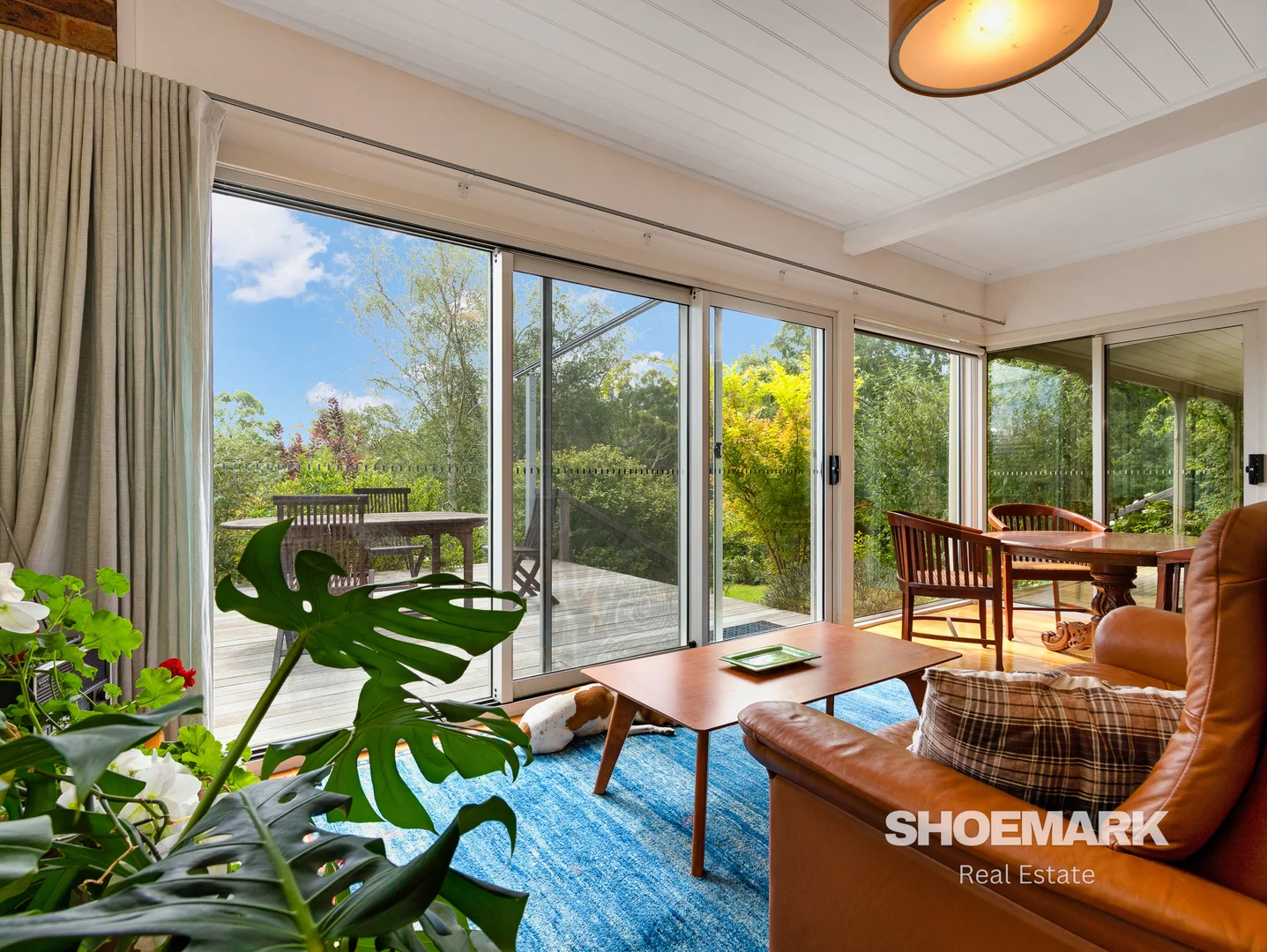 Additional image 6 of 60 Bell Lane, Braidwood NSW 2622