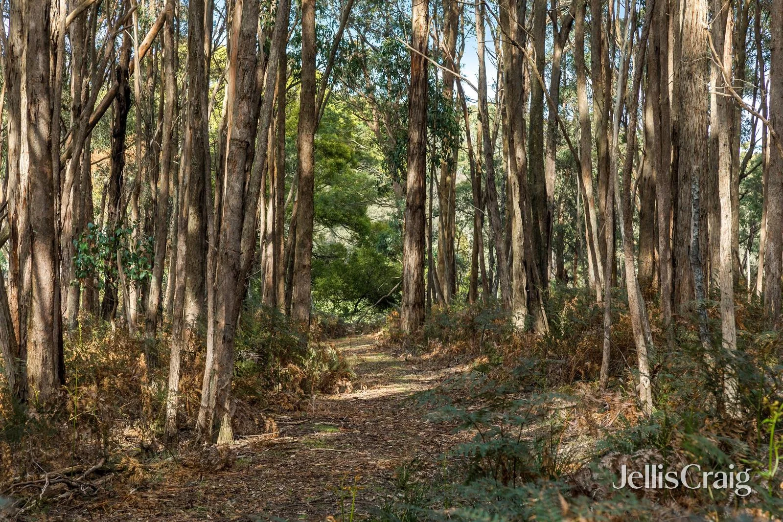 Additional image 16 of 85 Lightwood Drive, Wheatsheaf VIC 3461