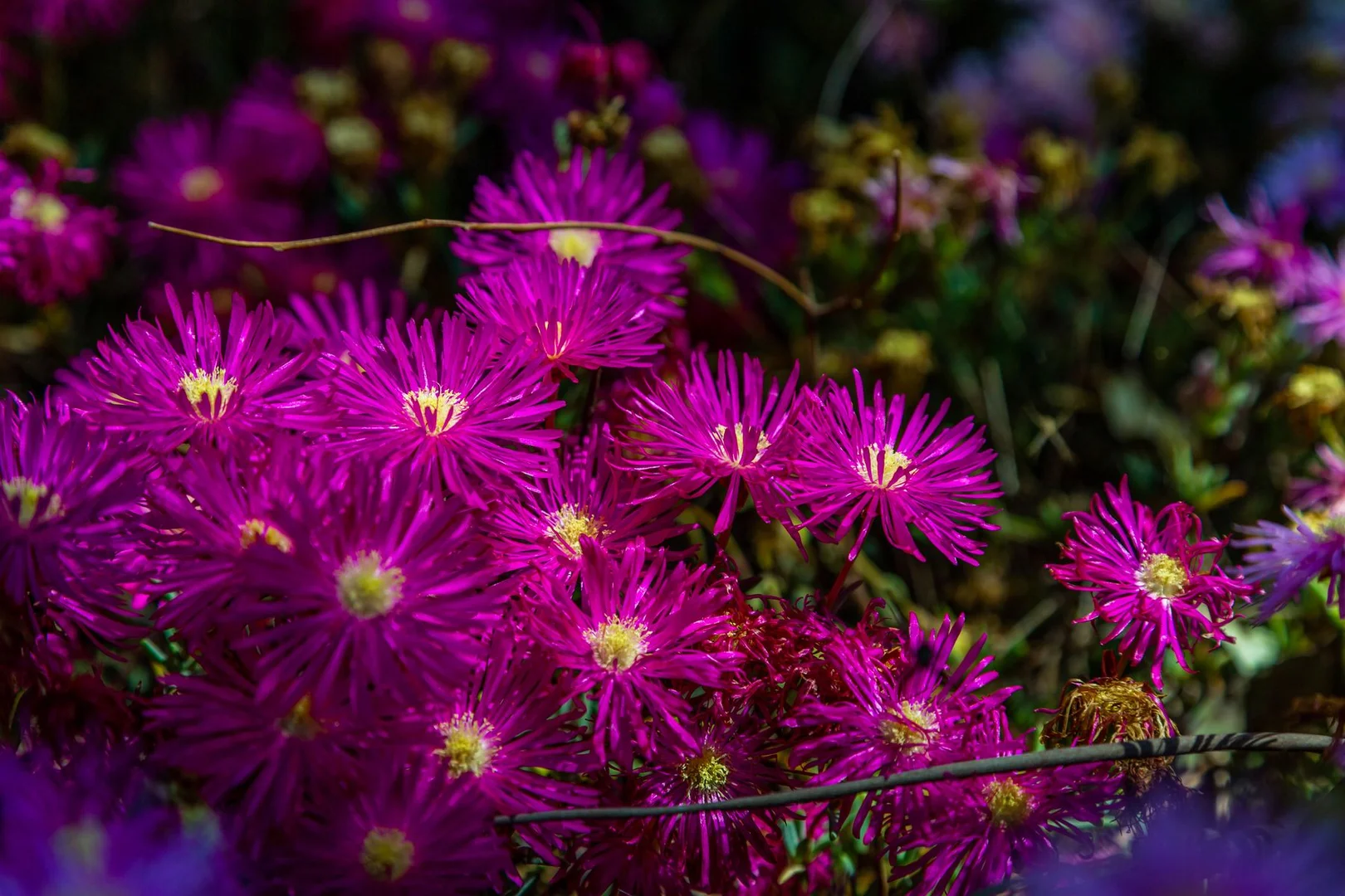 Additional image 33 of 253 Nankervis Road, Mandurang VIC 3551