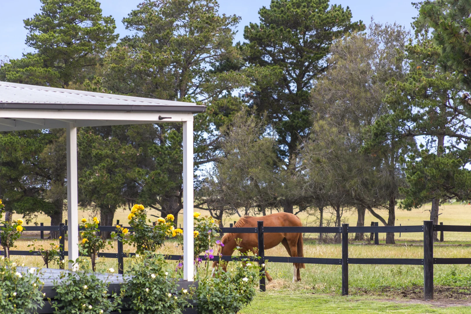 Additional image 53 of 2249 Midland Highway, Bannockburn VIC 3331
