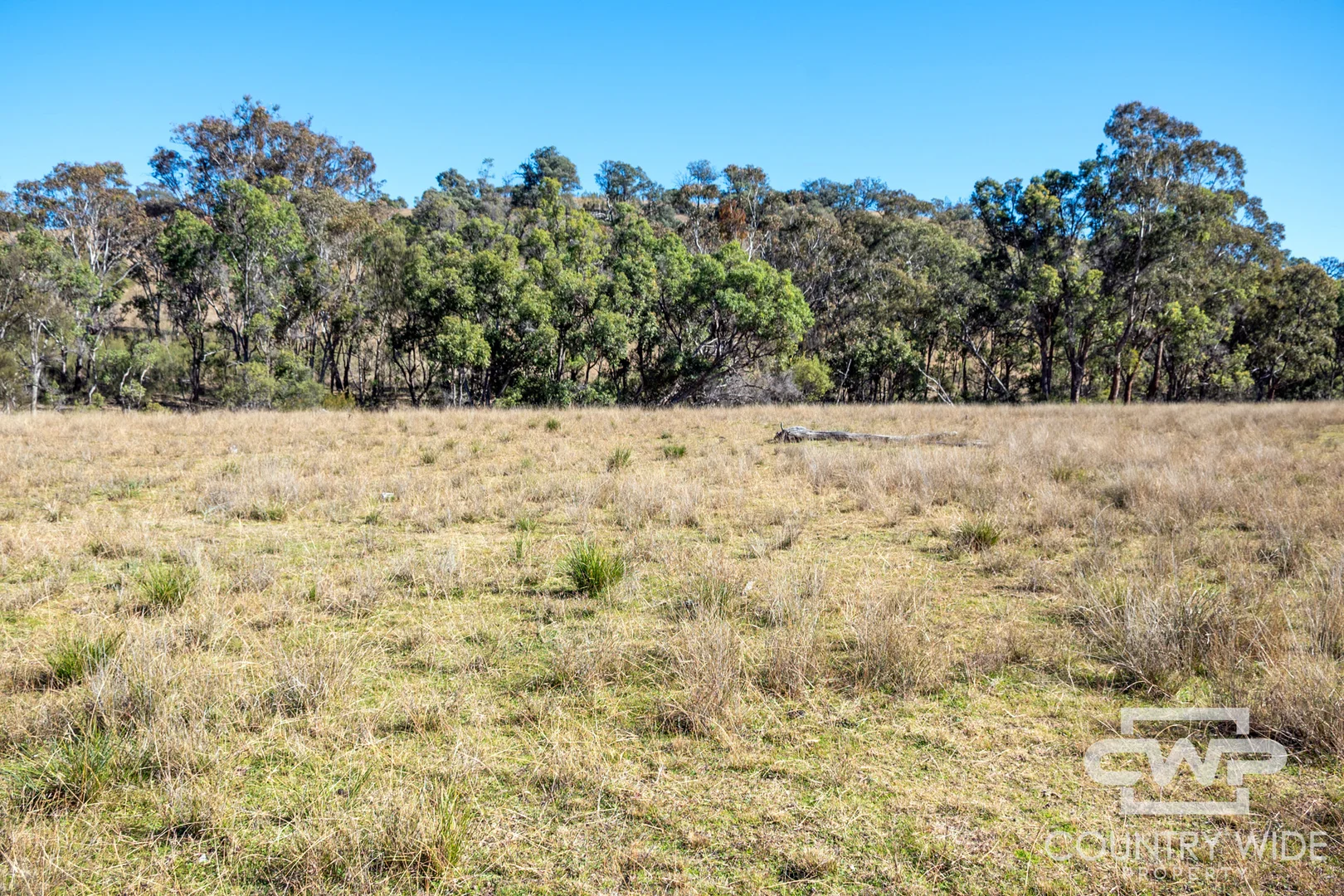 Additional image 11 of 12, 212 Mole Station Road, Tenterfield NSW 2372