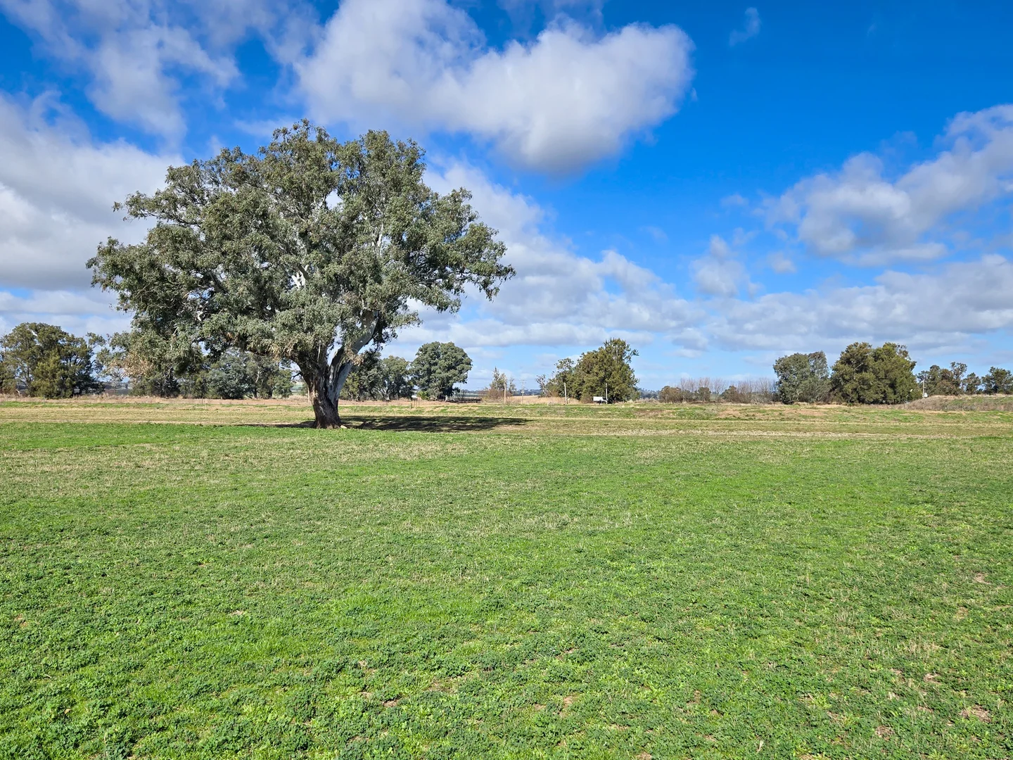 Additional image 20 of 349 Nangar Road, Canowindra NSW 2804