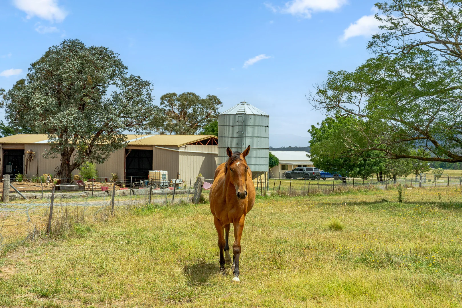 Additional image 40 of 14 Avonley Road, Majura ACT 2609
