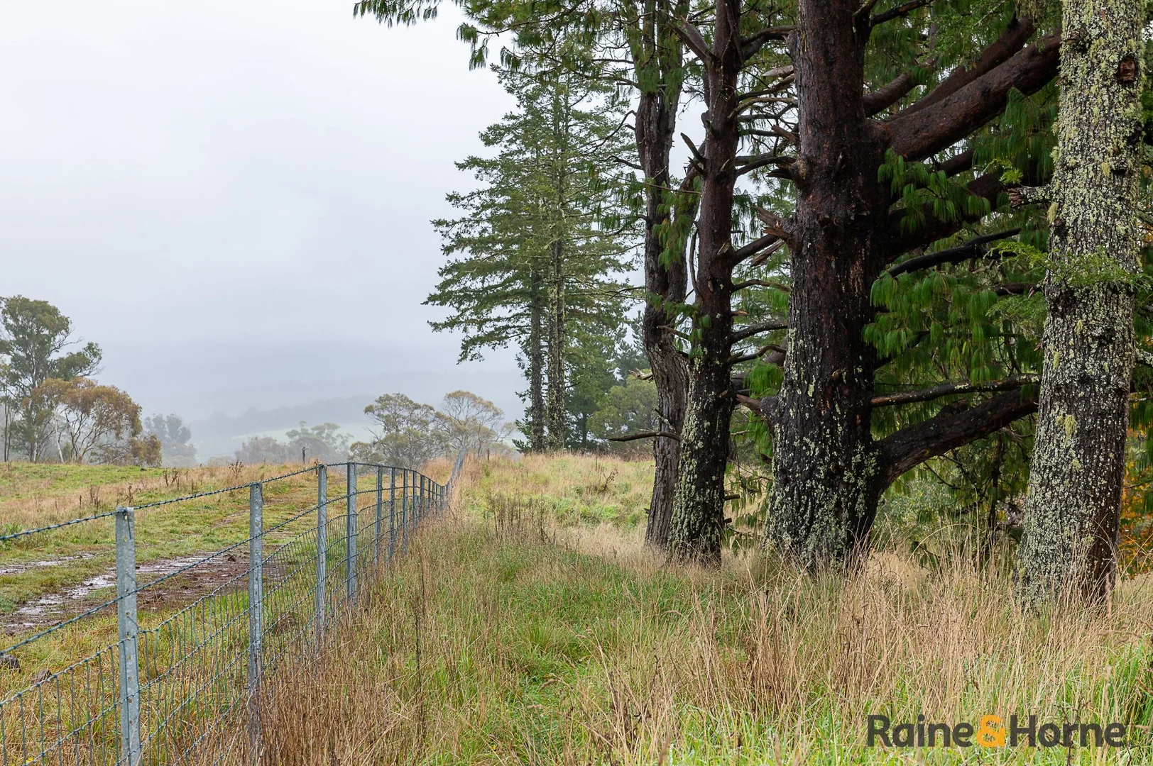 Additional image 8 of 4833 Brackendale Road, Nowendoc NSW 2354