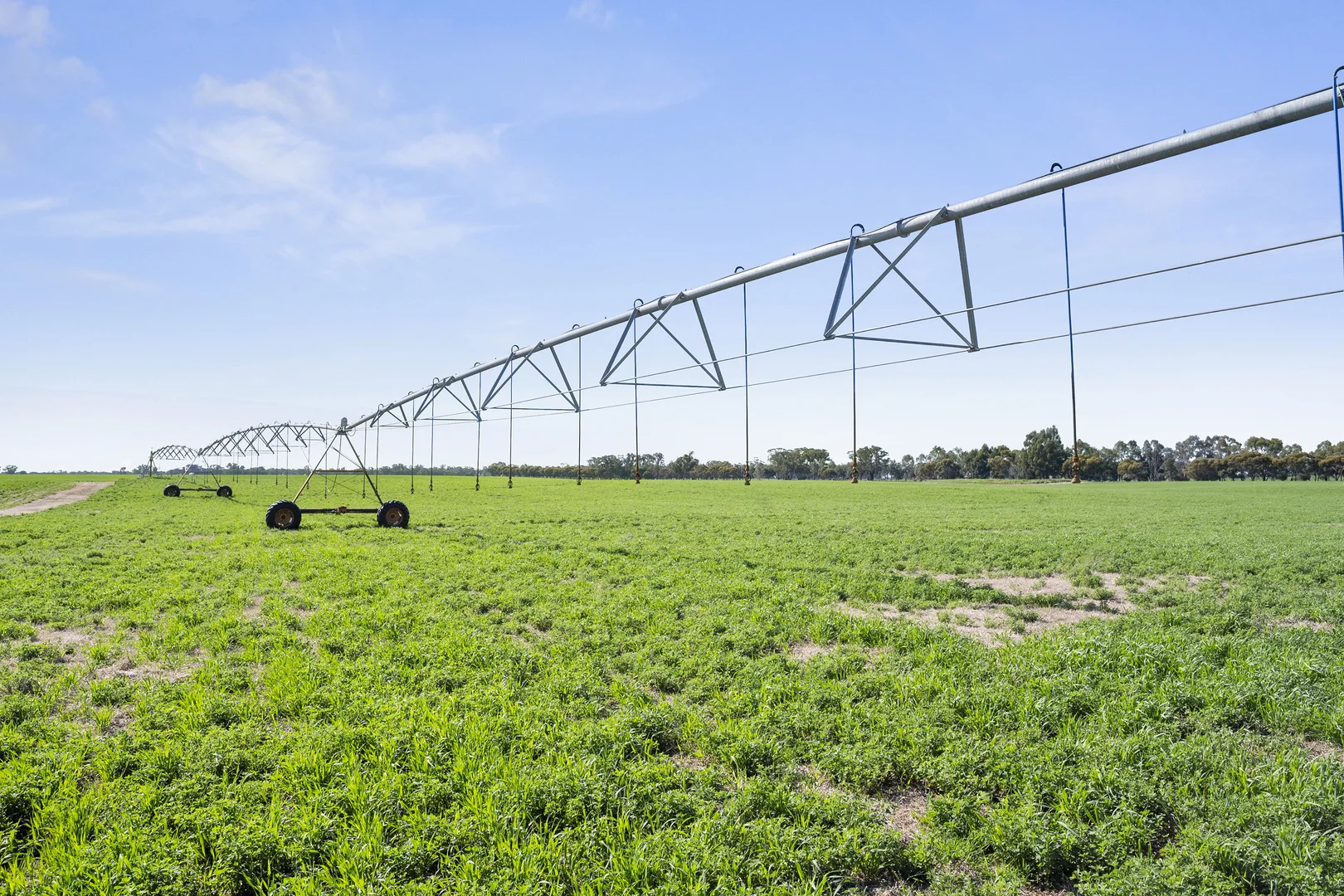 Additional image 3 of 1113 Baringhup-Eddington Road, Baringhup VIC 3463