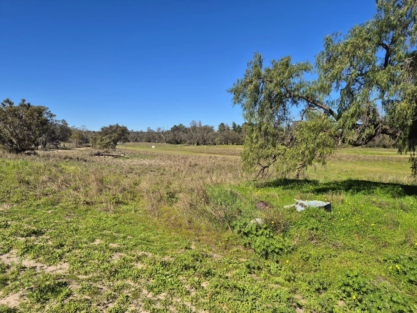 Additional image 20 of 190 Flourmill Cove, Cowalla WA 6503