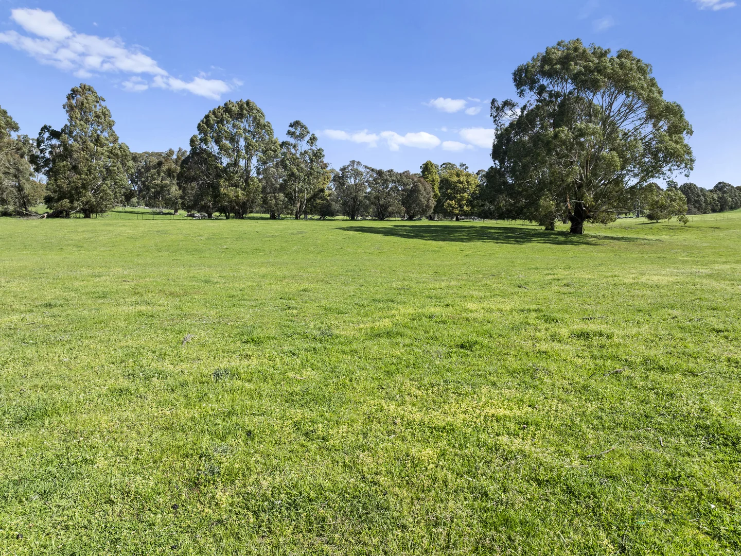 Additional image 14 of 99 Tames Road, Strathbogie VIC 3666