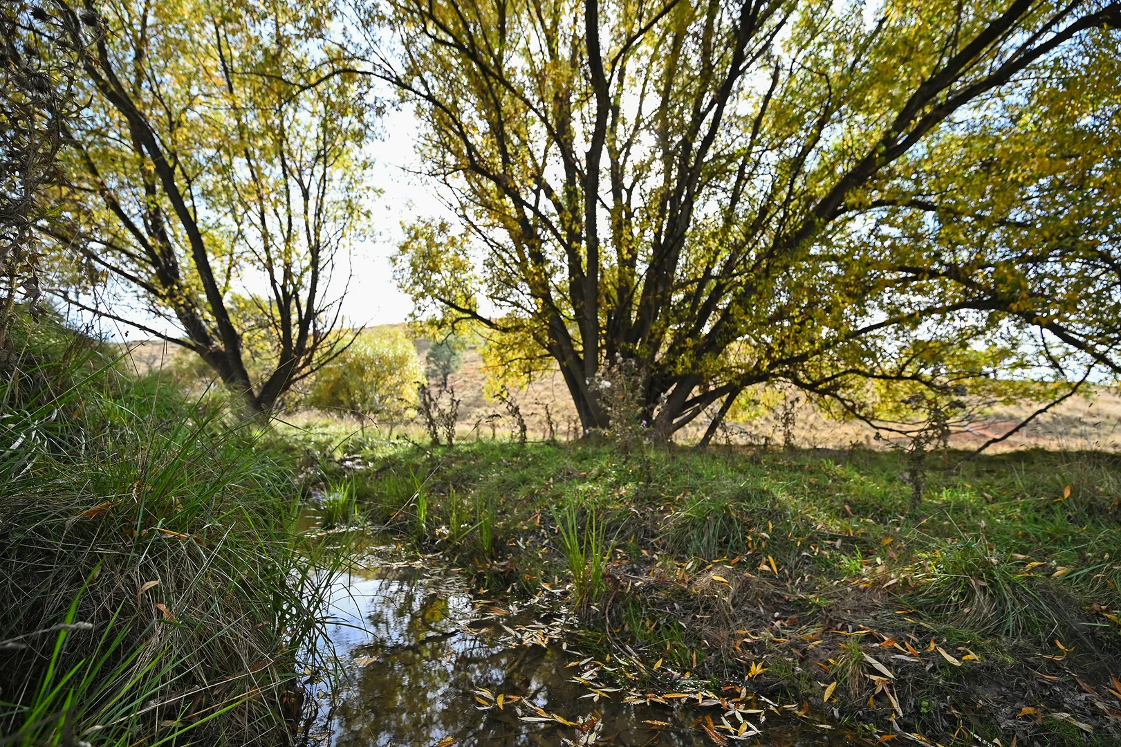 Additional image 3 of 2585 Burraga Road, Burraga NSW 2795
