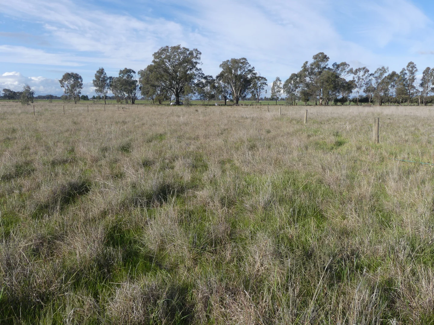 Additional image 4 of Walshs Bridge South Road, Waaia VIC 3637