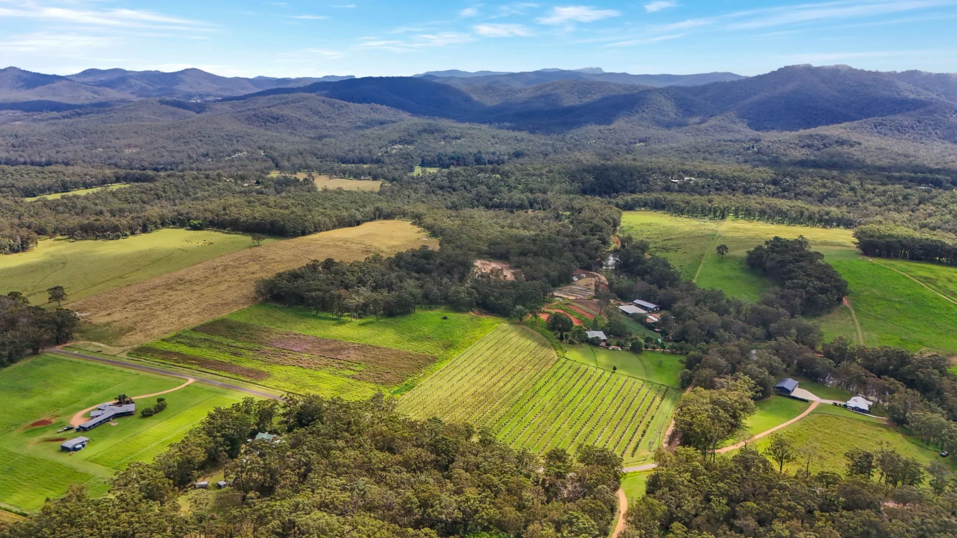 Additional image 59 of Lot 83 Chester Road, Wondecla QLD 4887