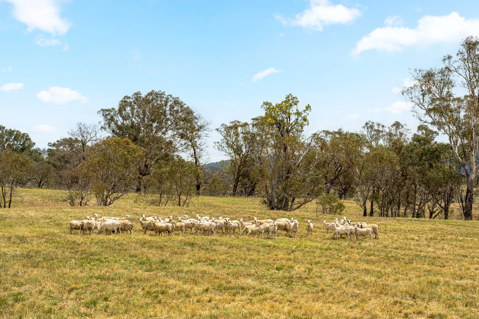 Additional image 68 of 14 Avonley Road, Majura ACT 2609