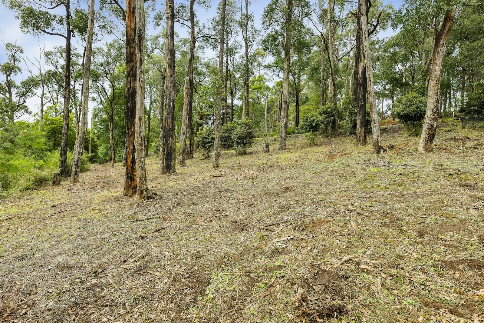 Additional image 8 of 52A View Hill Road, Cockatoo VIC 3781
