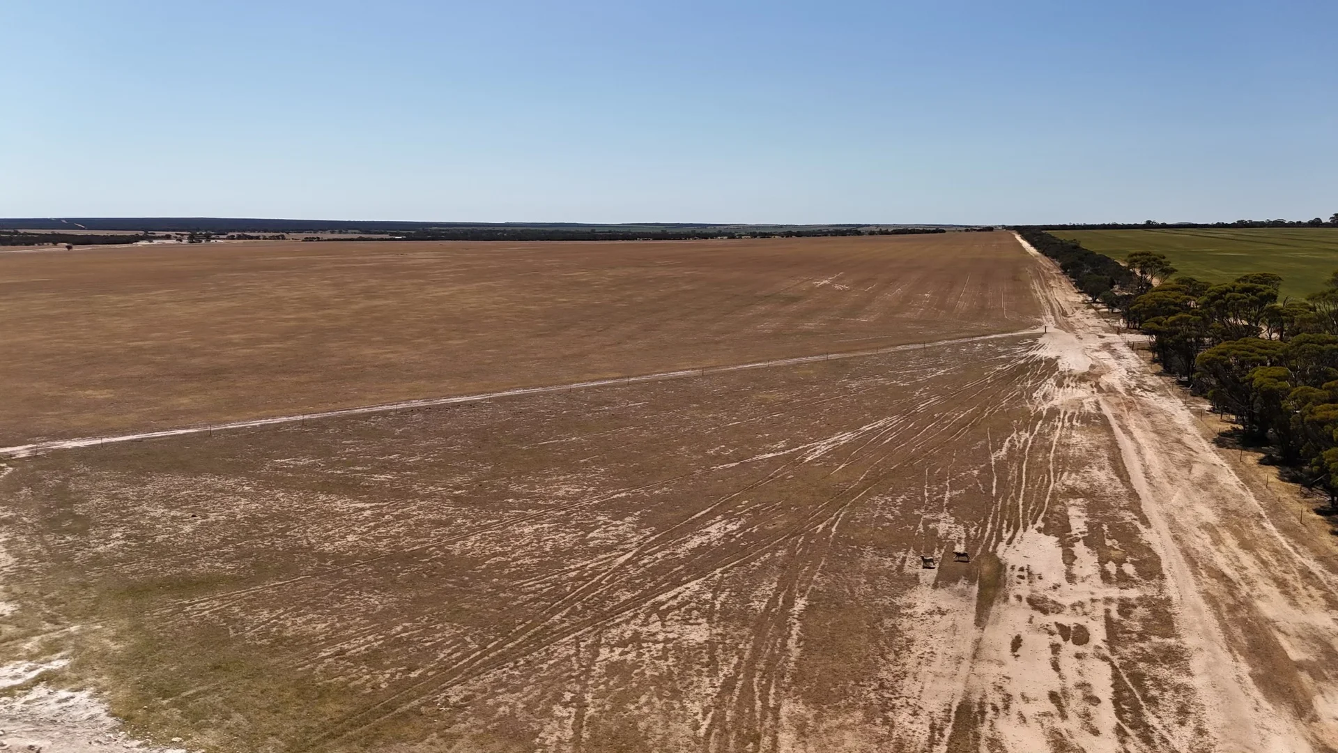 Additional image 4 of 3106 Meranda North Road, Holleton WA 6426