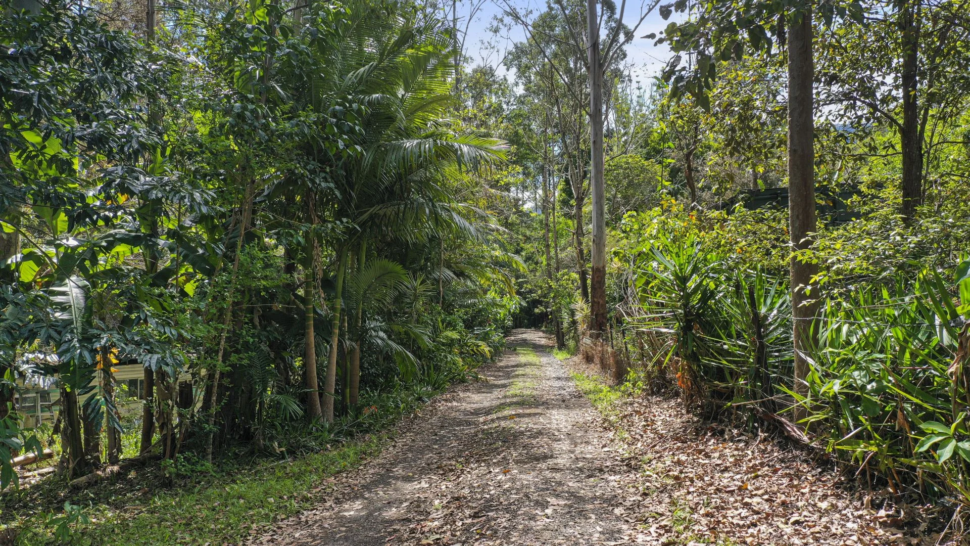 Additional image 11 of 158 Gungas Road, Nimbin NSW 2480