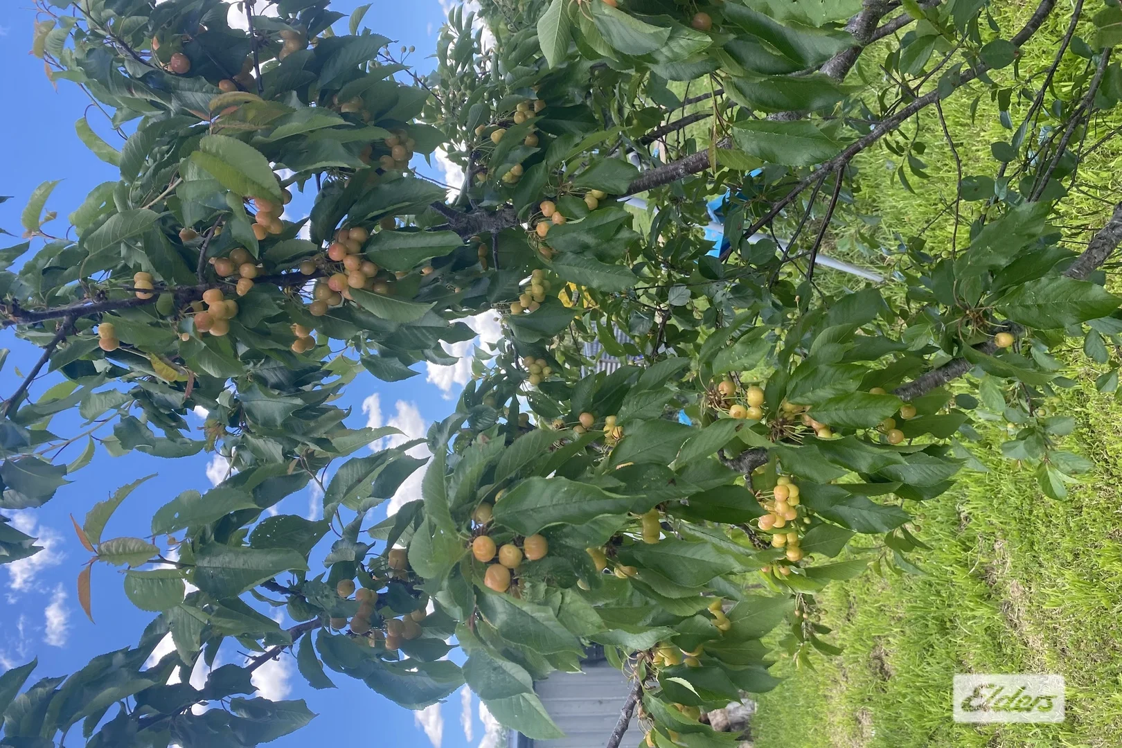 Additional image 21 of Kyoomba QLD 4380