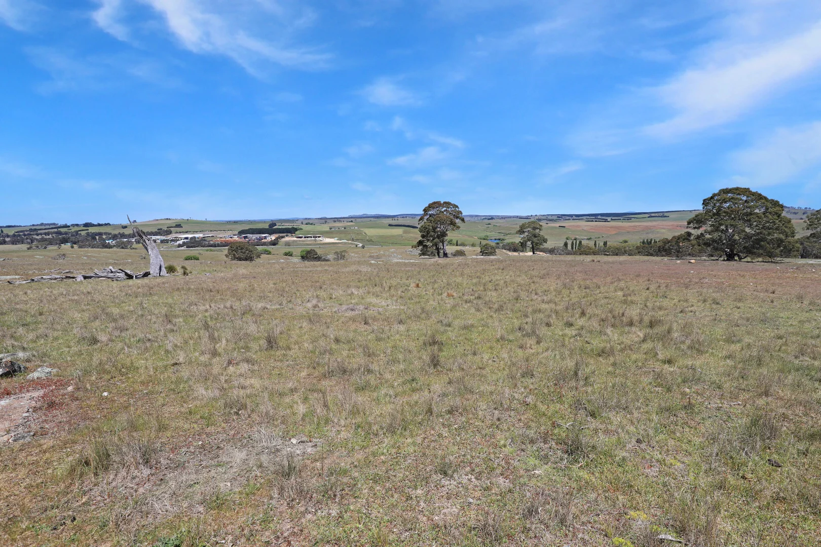 Additional image 10 of Lot 50 Delegate Road, Bombala NSW 2632
