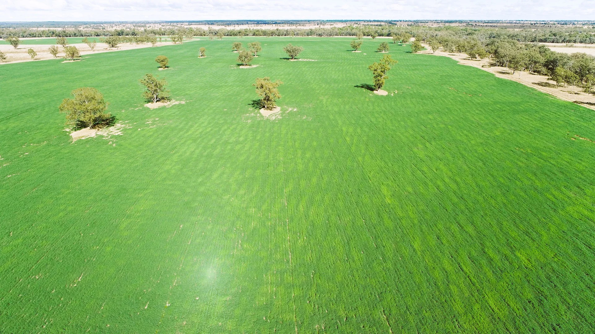 'Glencoe' 28547 Carnarvon Highway, Roma QLD 4455