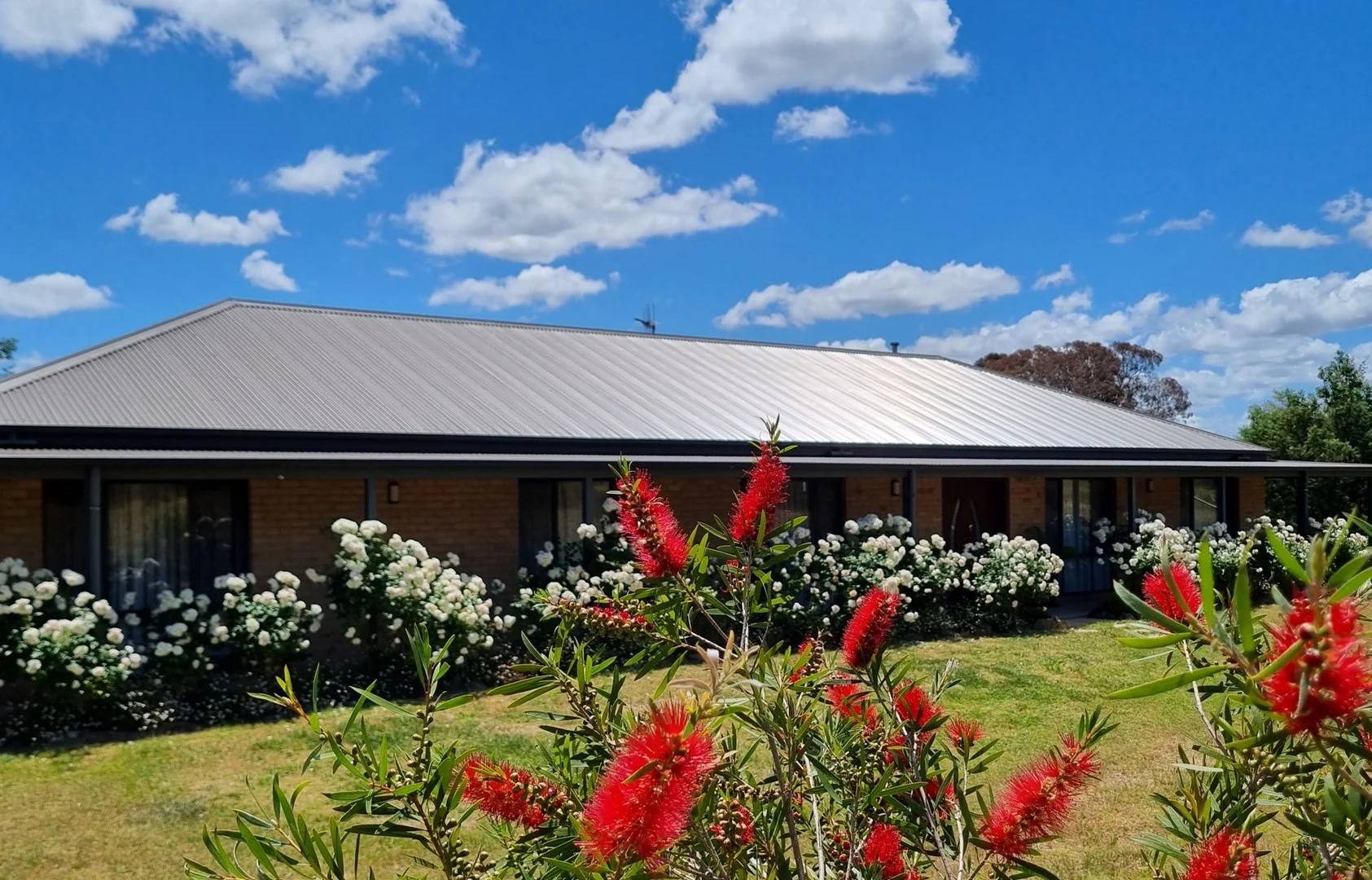 5 STRINGYBARK PLACE, Manton NSW 2582