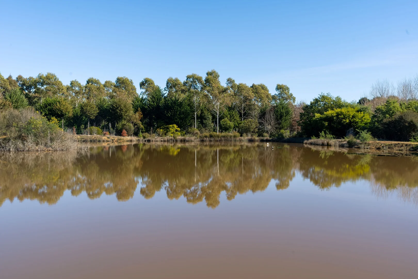 Additional image 6 of 252 Taggerty - Thornton Road, Taggerty VIC 3714