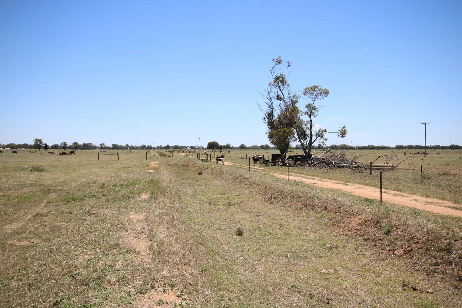 Additional image 22 of 614 Nullabooma Road, Wakool NSW 2710
