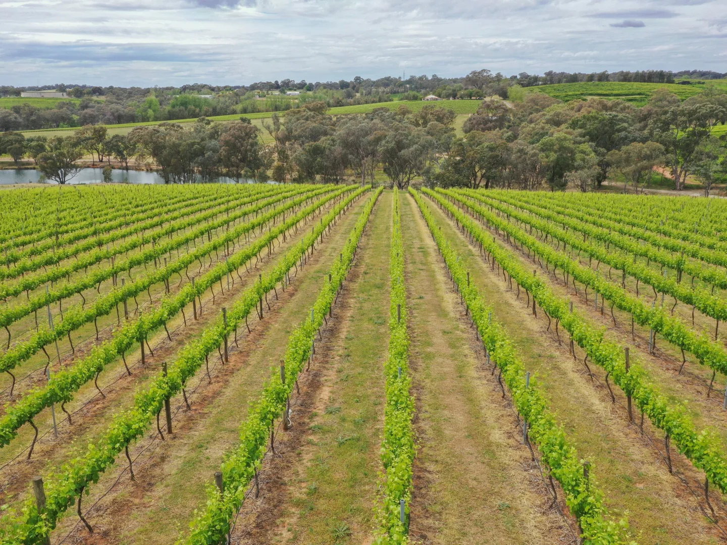 Additional image 6 of 155 Tierneys Road, Young NSW 2594