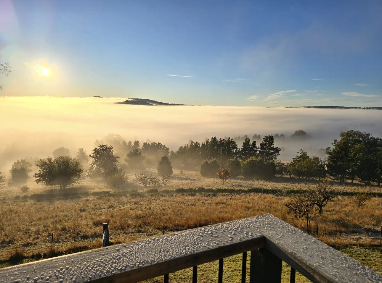 Additional image 21 of 318 Kains Flat Road, Mudgee NSW 2850