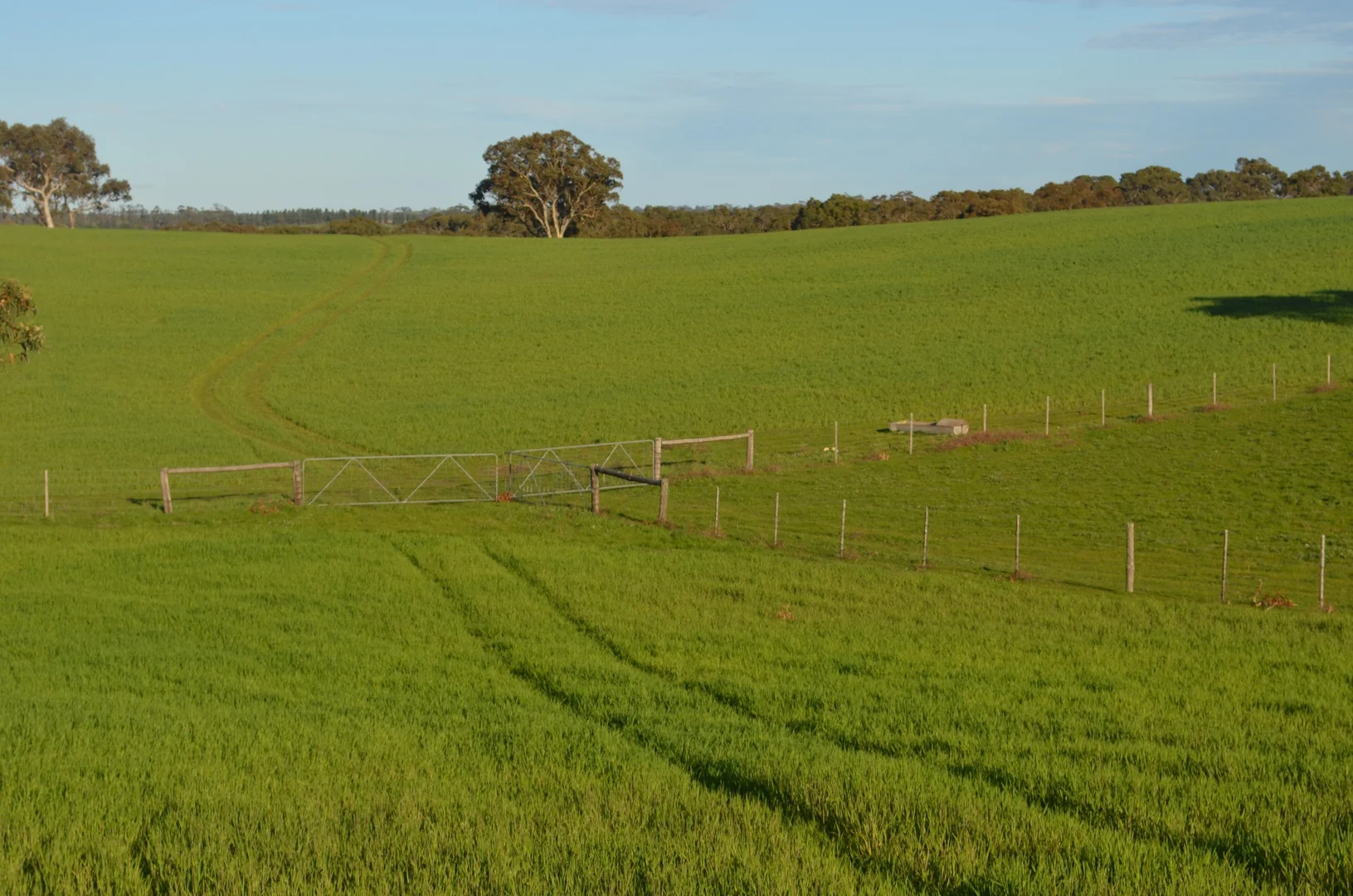 Additional image 8 of Lot 296 Beggs Road, Avenue Range SA 5273