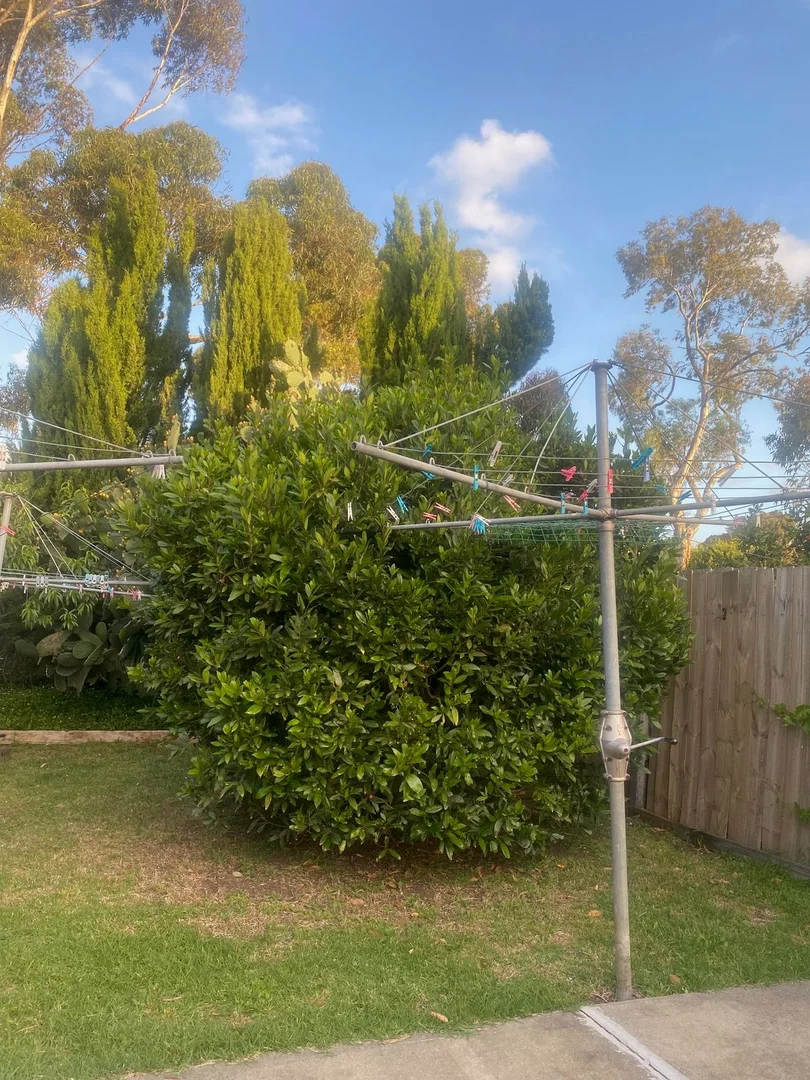 Additional image 51 of 36 Jamieson Street, St Albans VIC 3021