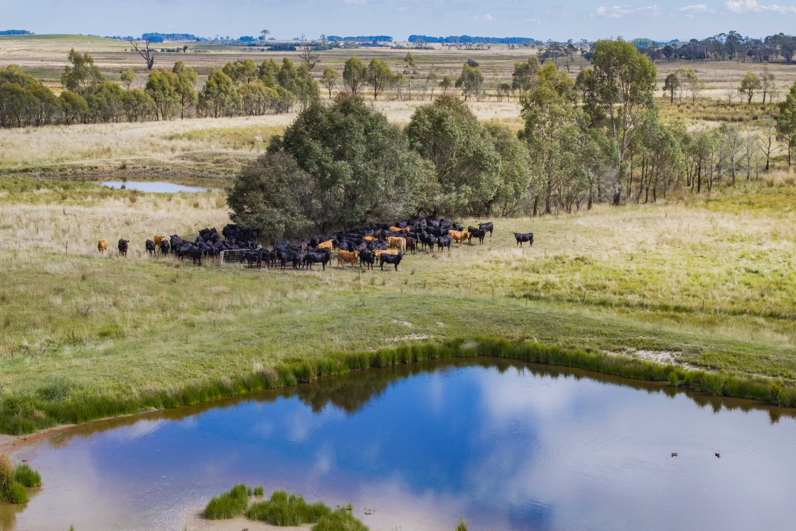 Additional image 7 of 251 Mount Rae Road, Roslyn NSW 2580