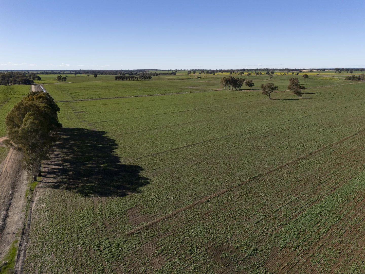 Additional image 36 of 2244 Berrigan Road, Berrigan NSW 2712