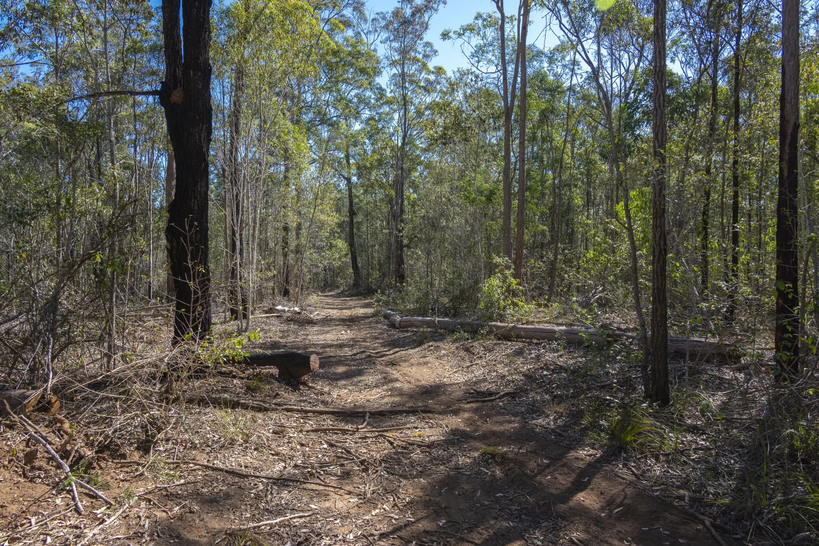 Additional image 26 of 151 Cameron Road, Taromeo QLD 4314