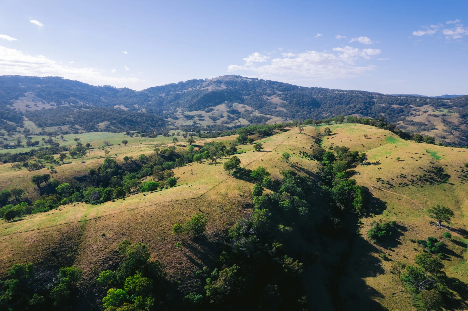 Additional image 10 of 7390 New England Hwy, Willow Tree NSW 2339