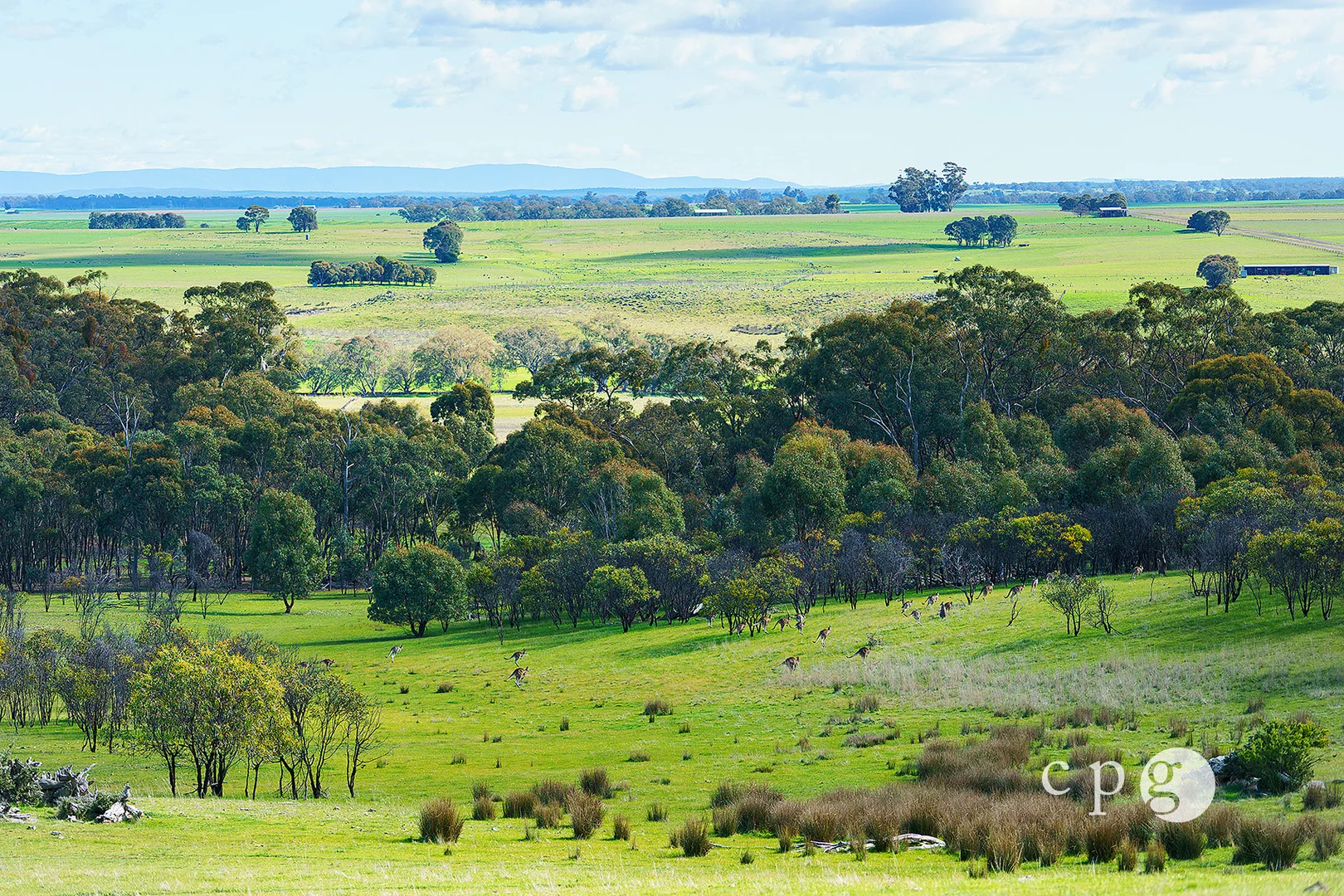 Additional image 19 of Lot 4 Strathlea Road, Campbelltown VIC 3364